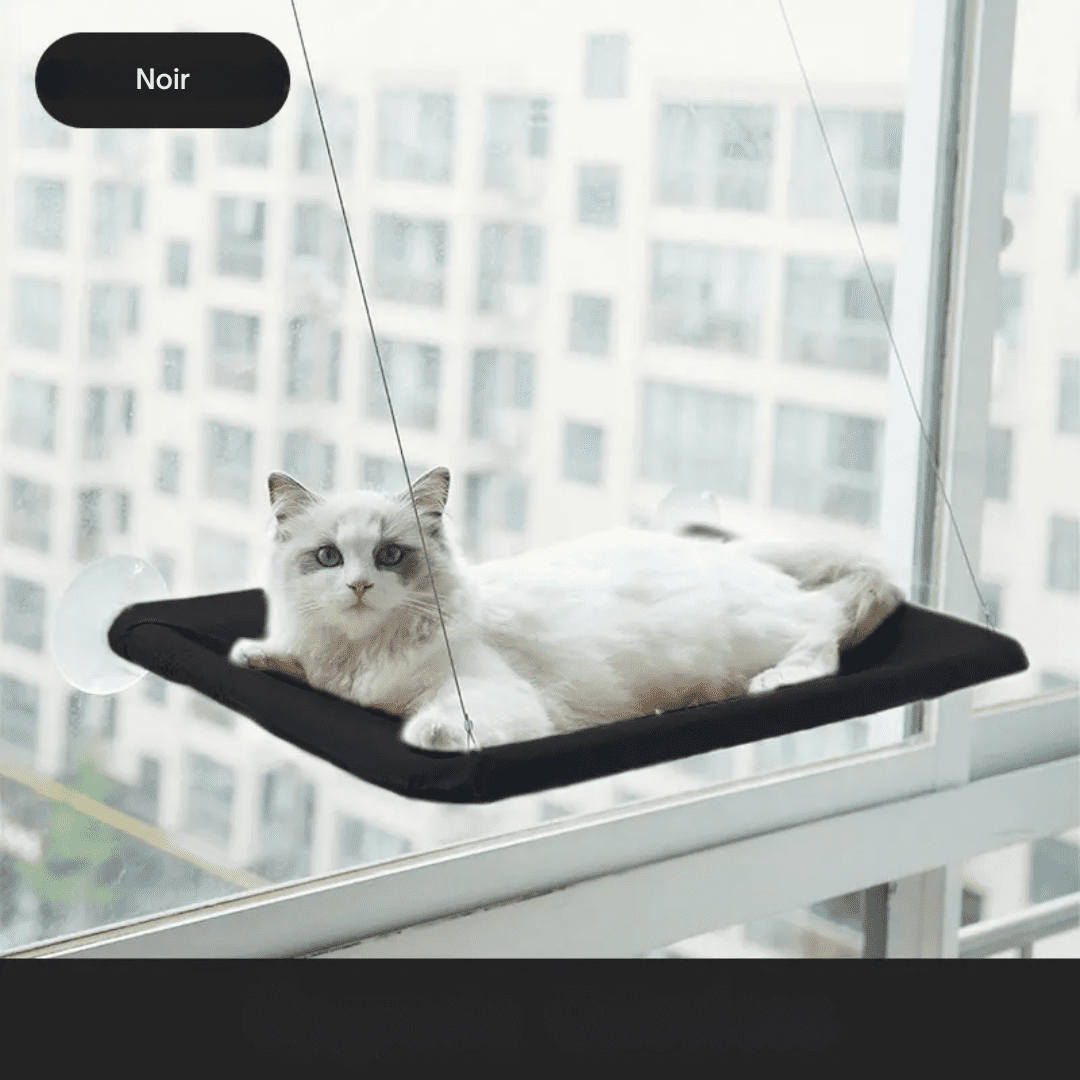 cat window hammock